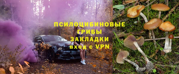дмт Лагань