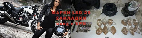 спиды Ладушкин
