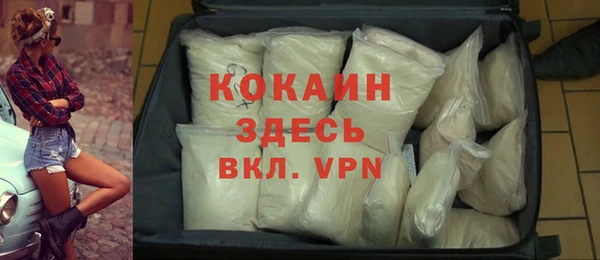 дмт Лагань