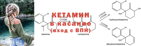 дмт Лагань