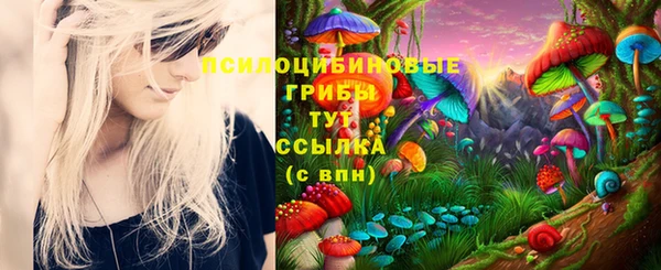 дмт Лагань