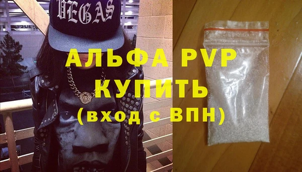 спиды Ладушкин