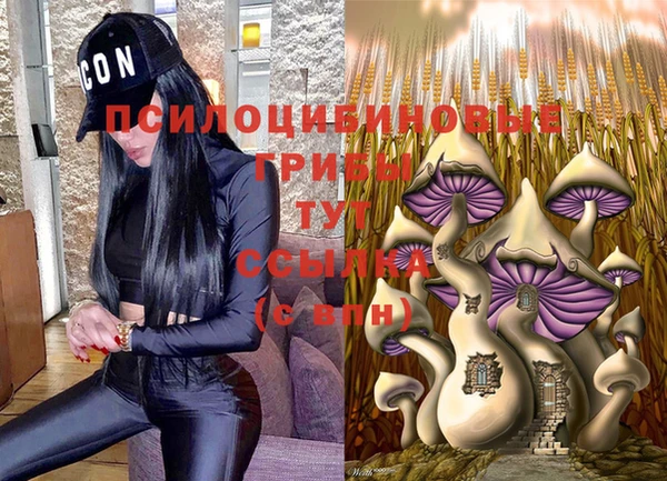 шишки Богородицк