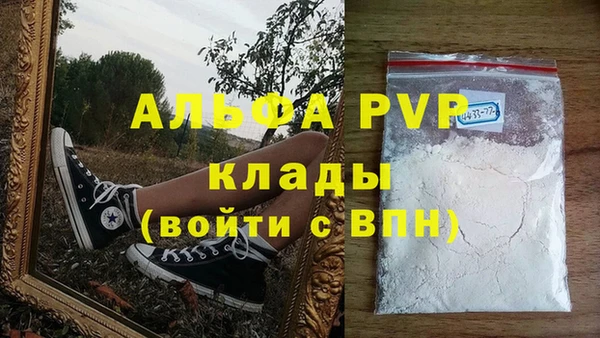 спиды Ладушкин