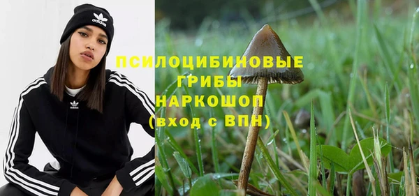 спиды Ладушкин