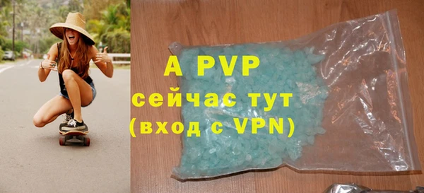 спиды Ладушкин