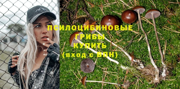 дмт Лагань