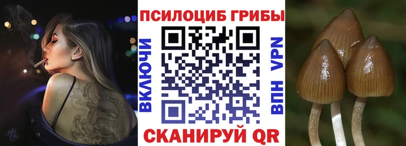 Псилоцибиновые грибы GOLDEN TEACHER  Орехово-Зуево 